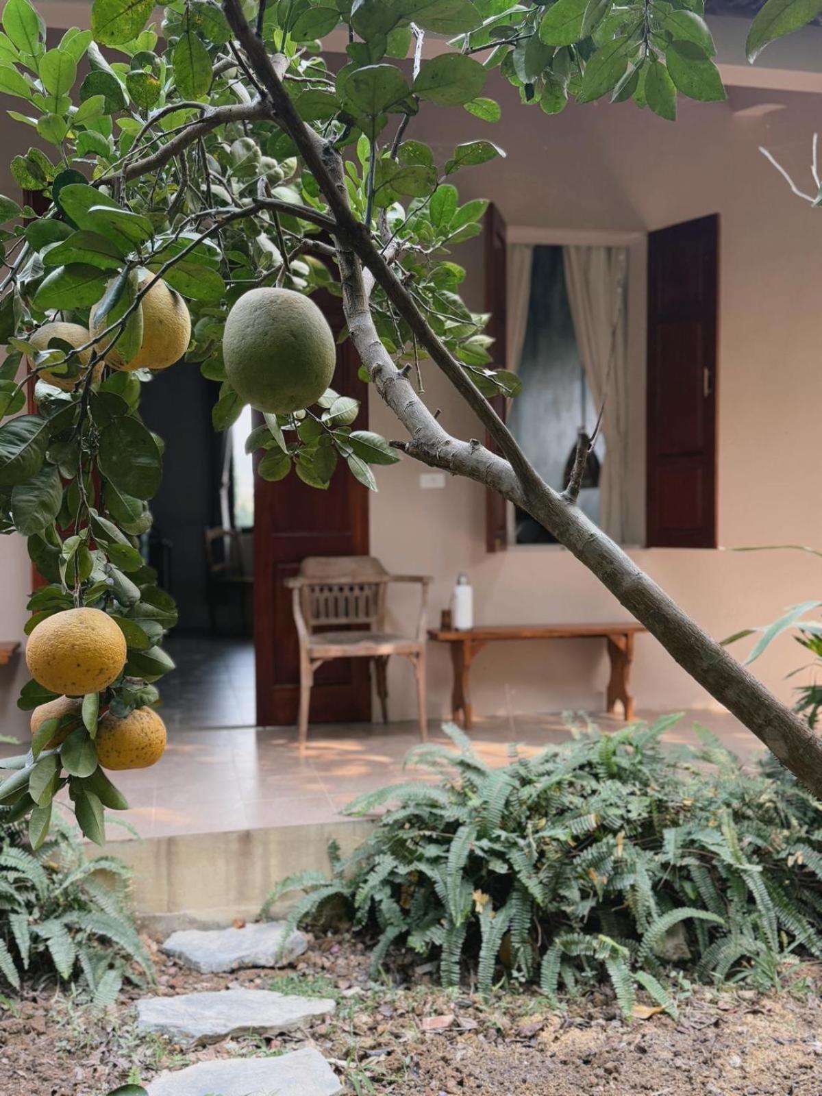 Nha Lua Homestay Ниньбинь Экстерьер фото